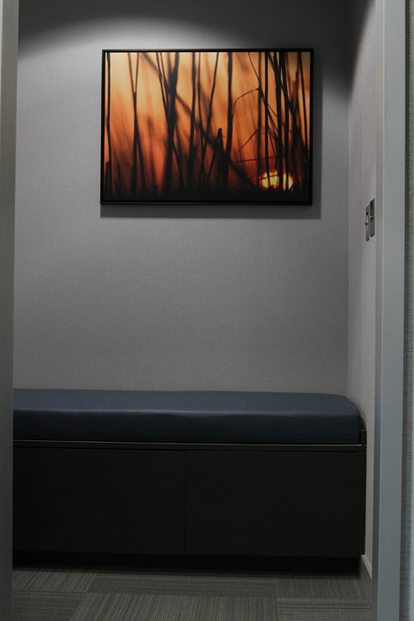 Westchester Oral & Maxillofacial Surgery & Implantology couch